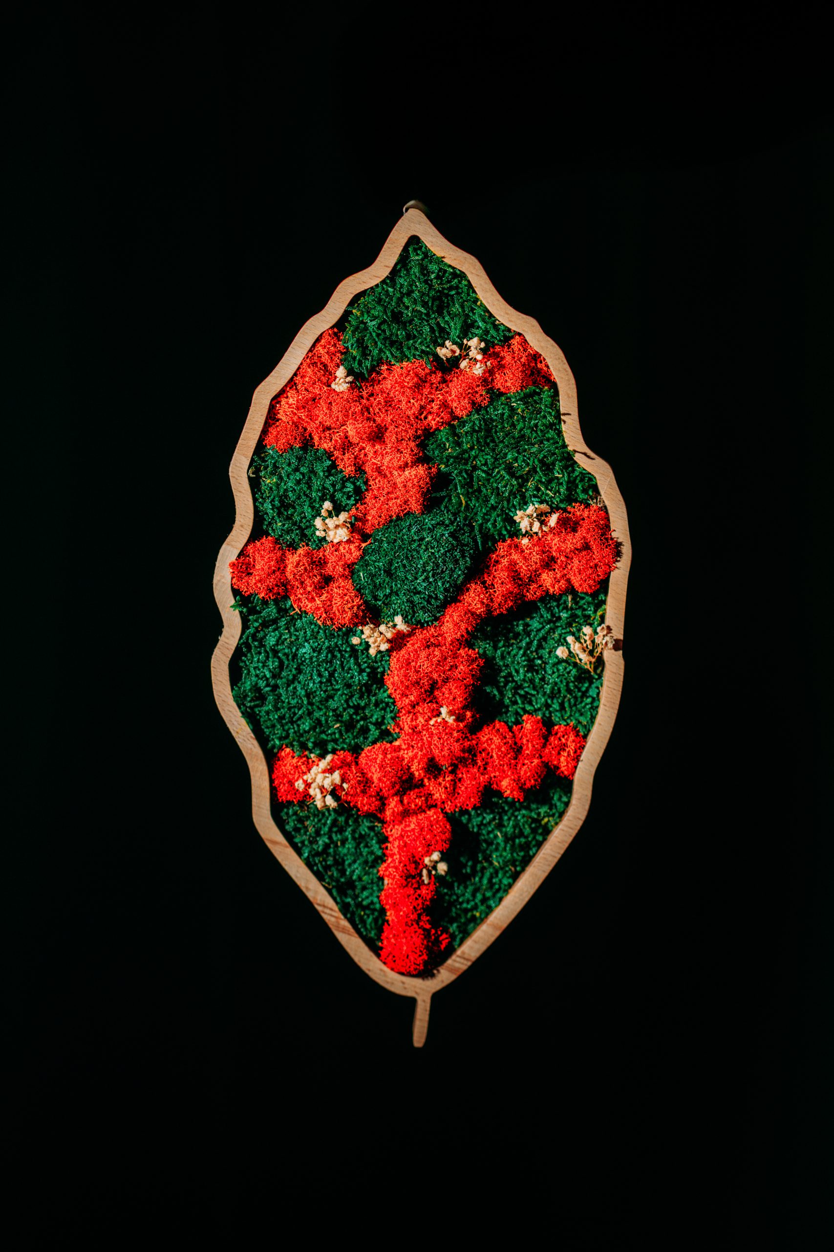 Mokuzai-180-Modifica