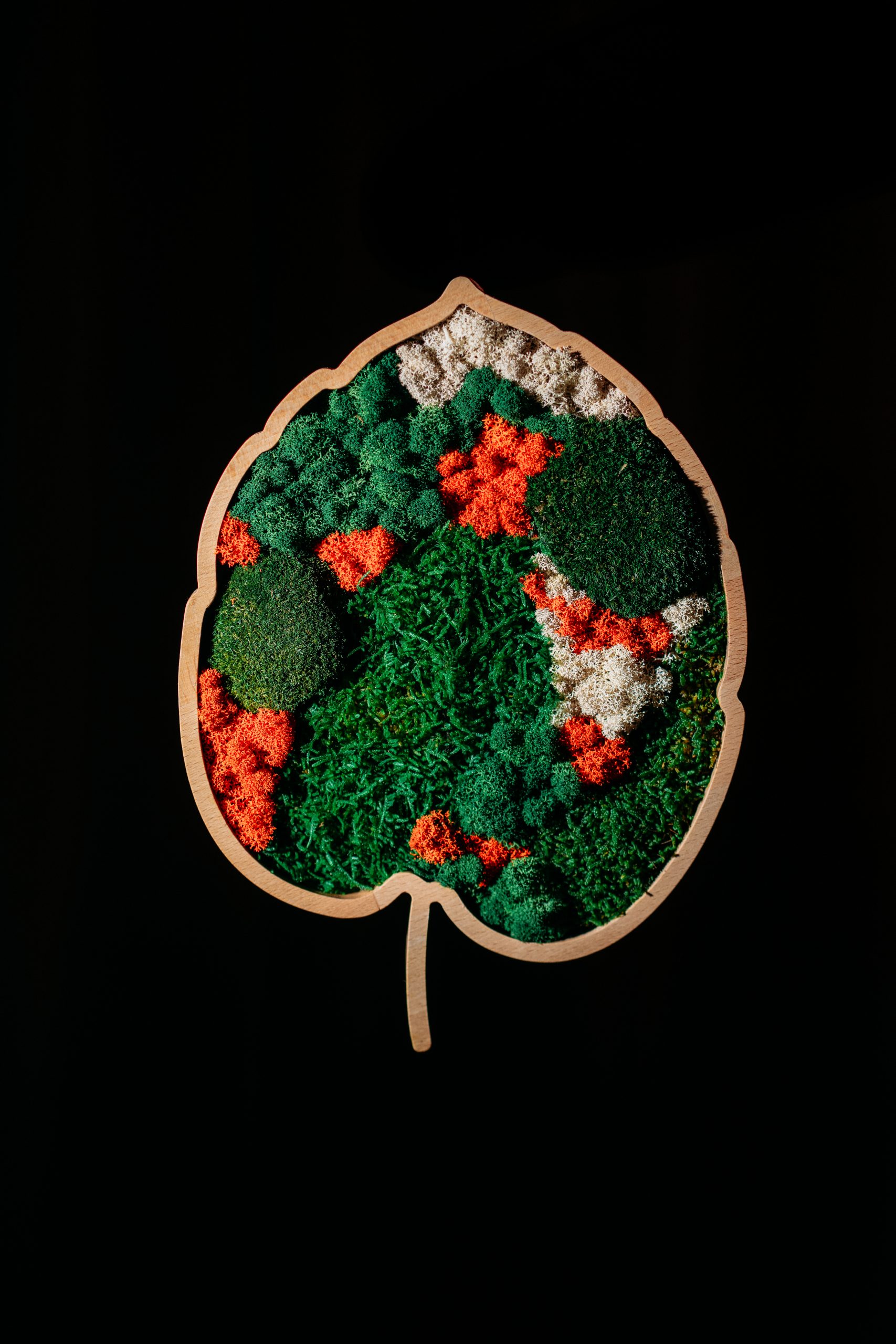 Mokuzai-181-Modifica