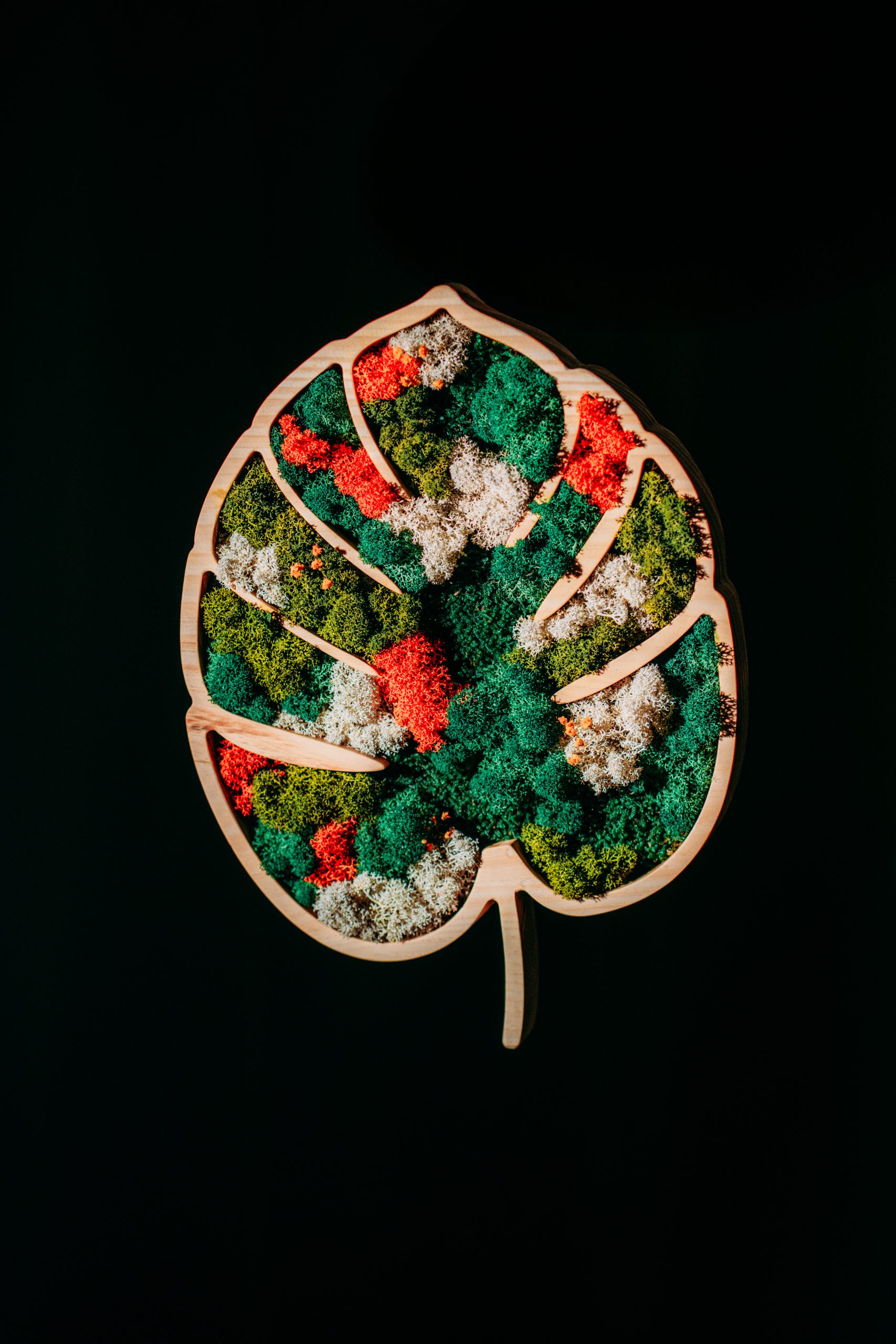 Mokuzai-182-Modifica