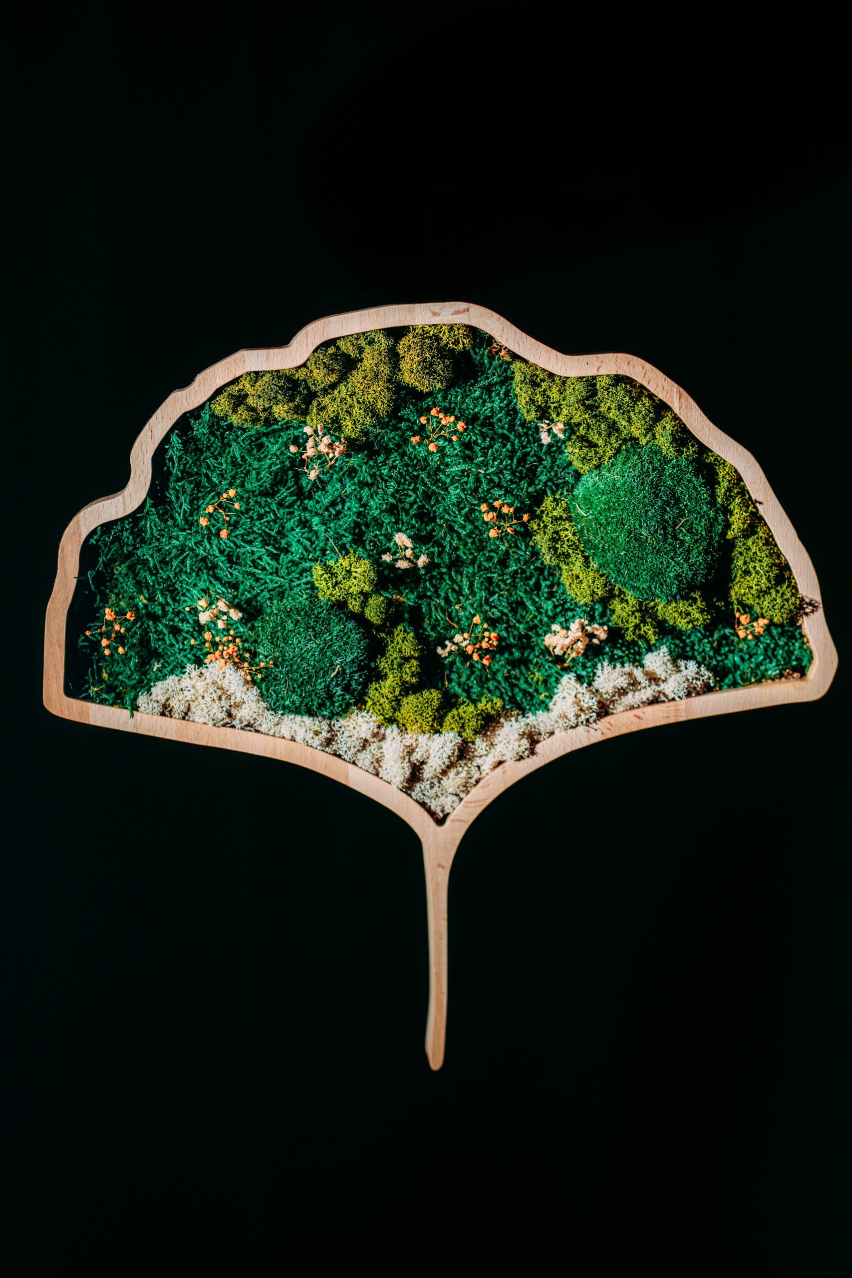 Mokuzai-186-Modifica