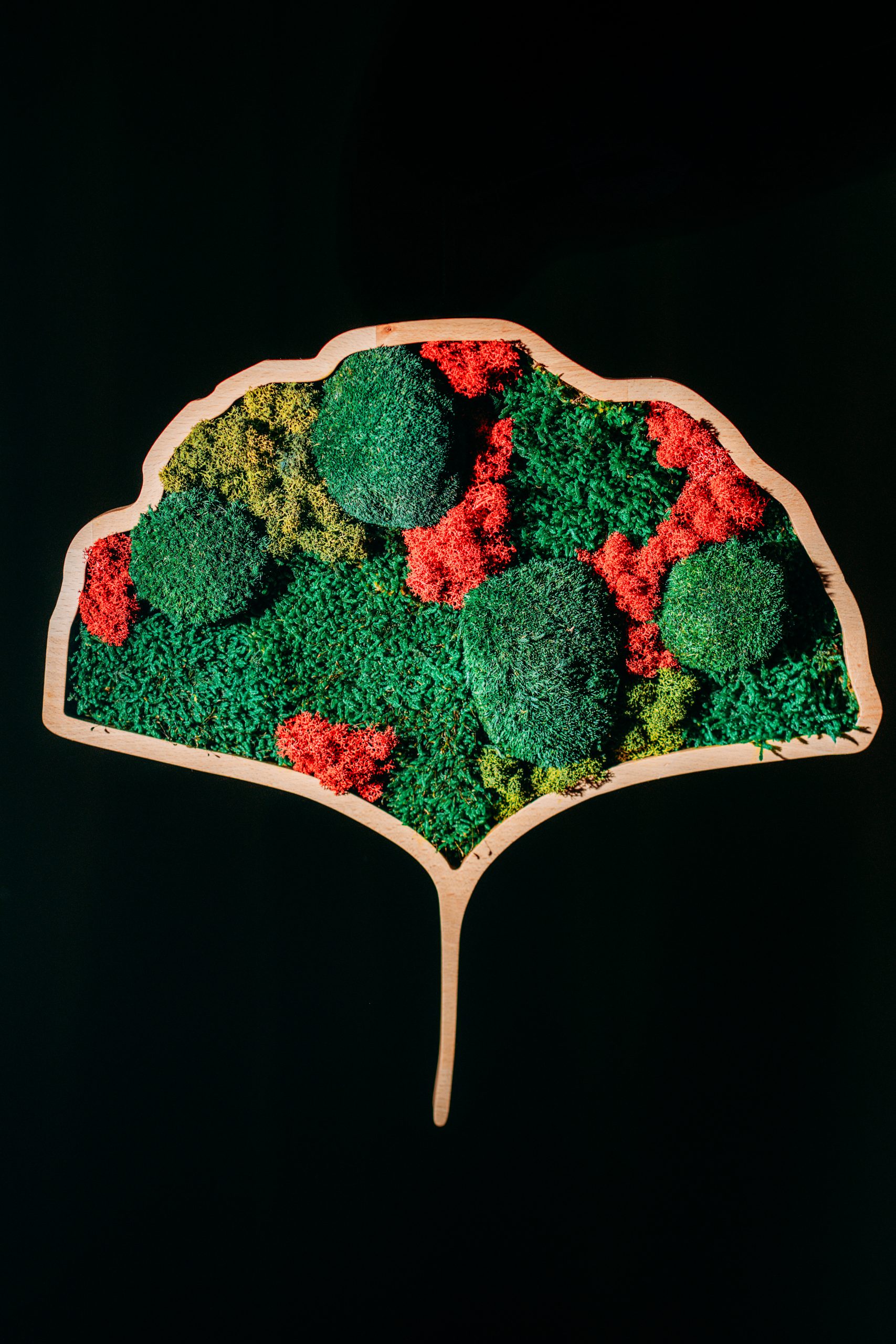 Mokuzai-187-Modifica