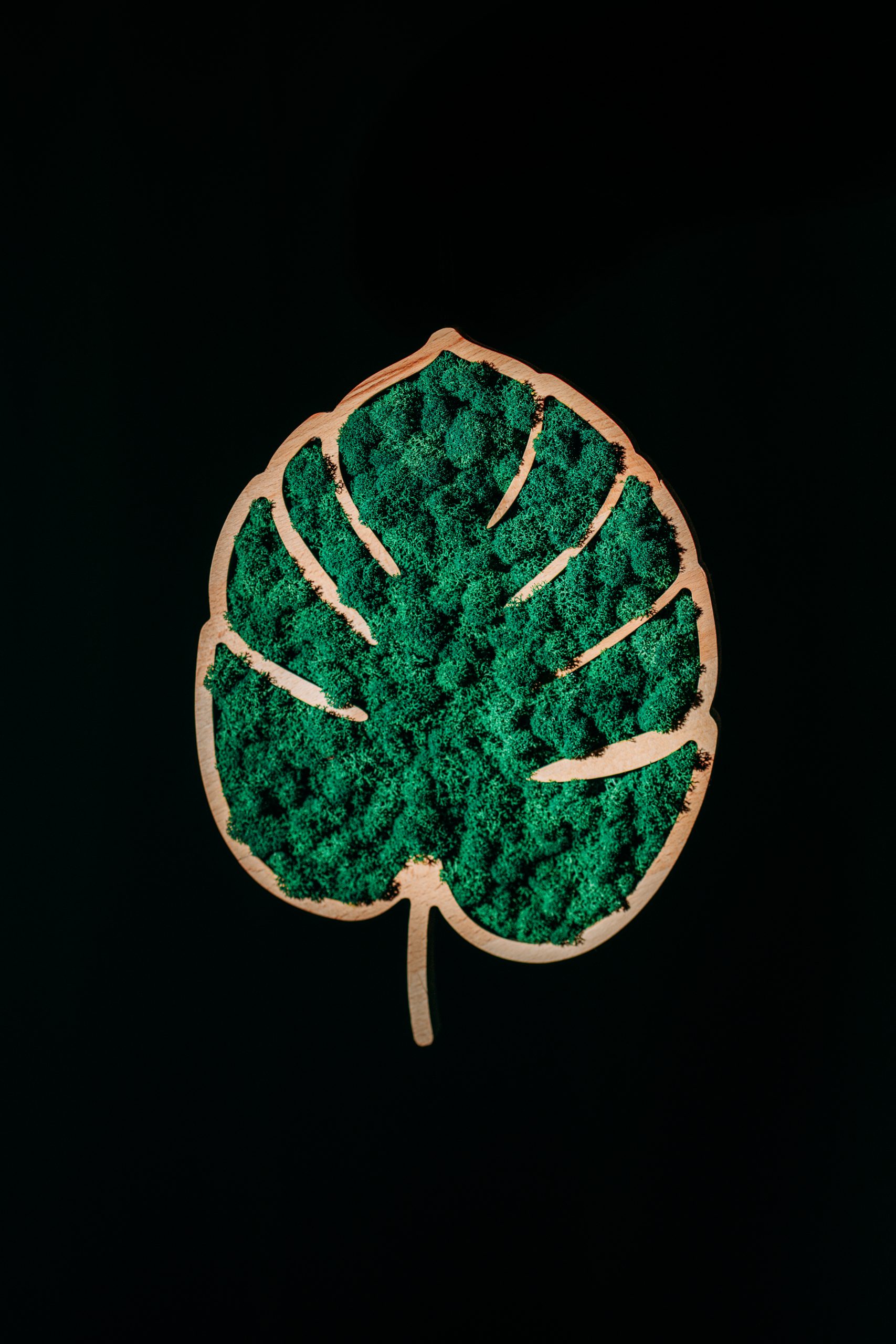 Mokuzai-189-Modifica