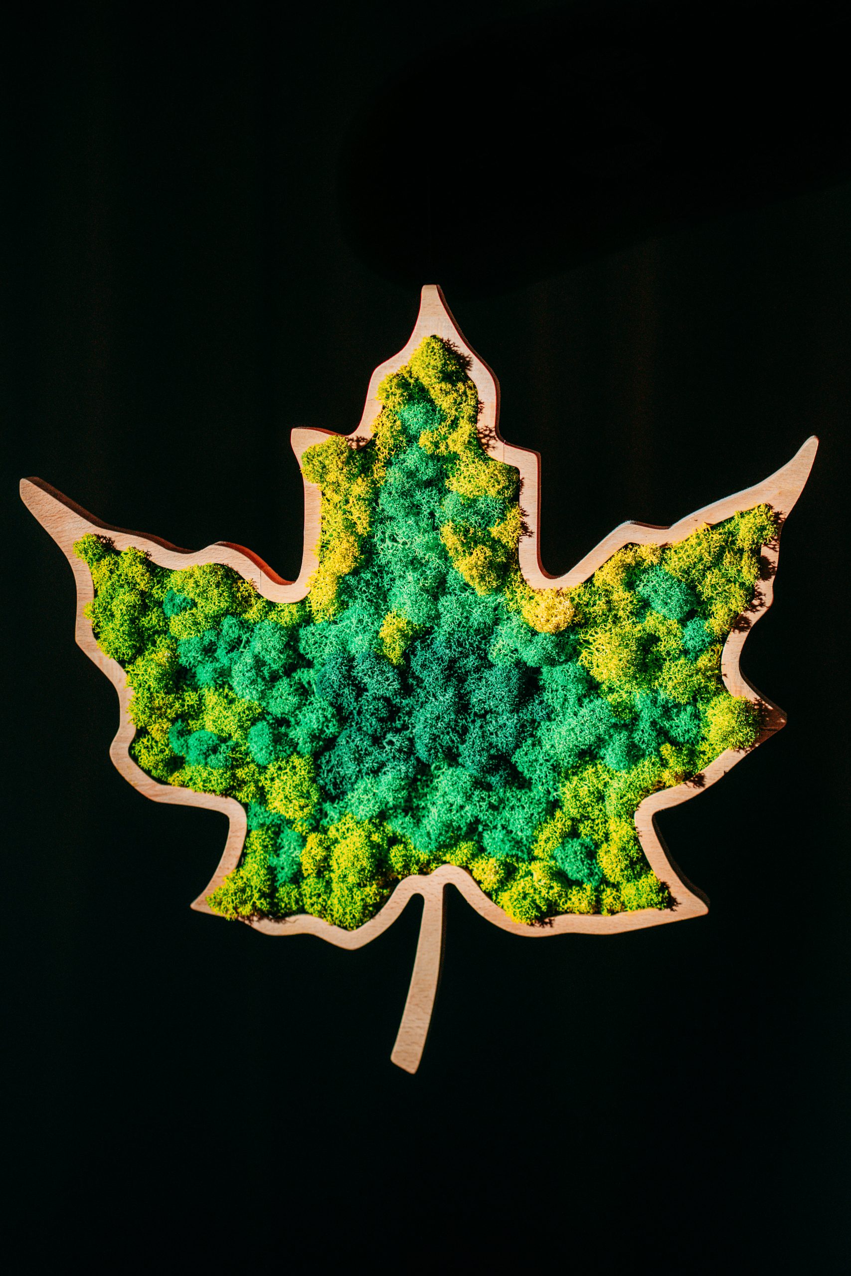 Mokuzai-190-Modifica