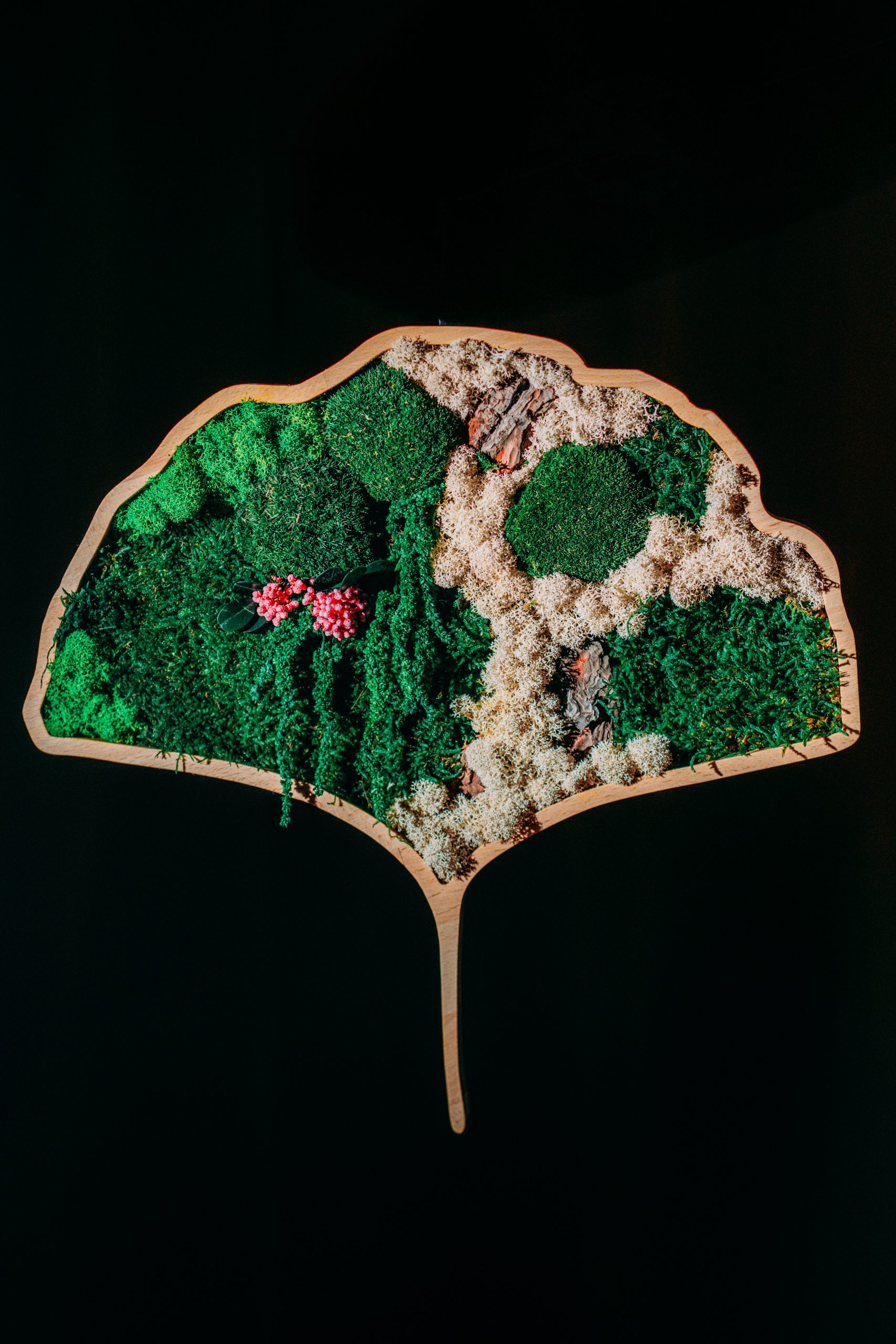 Mokuzai-191-Modifica